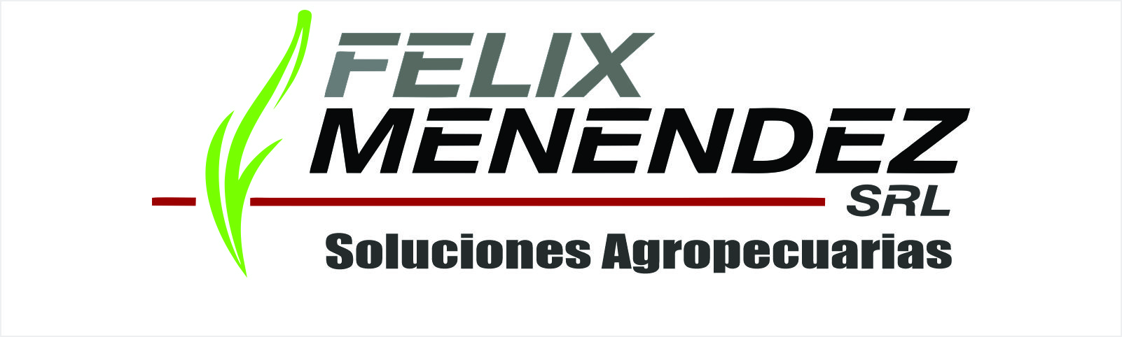 Felix Menendez S.R.L.