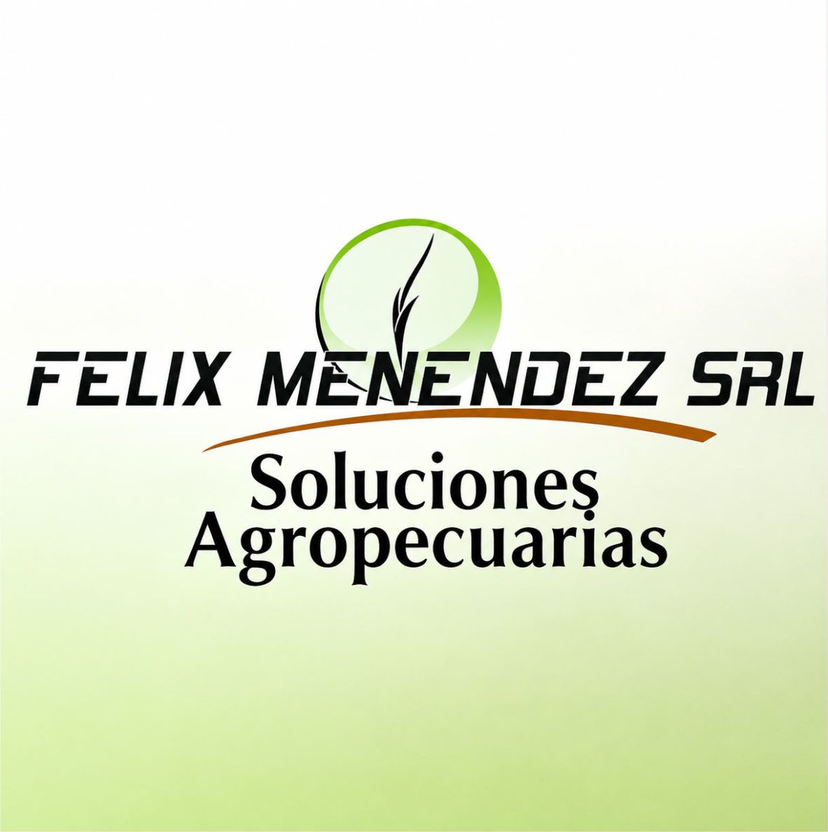 Felix Menendez S.R.L.
